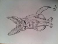 Big Ears